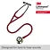 3M Littmann Cardiology IV Stethoscope,Champagne Chestpiece, Burgundy Tube, 6176